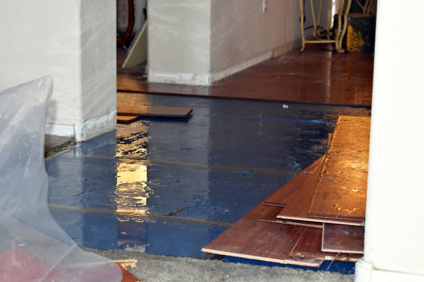 Professional Water Damage technician working in Haworth, NJ